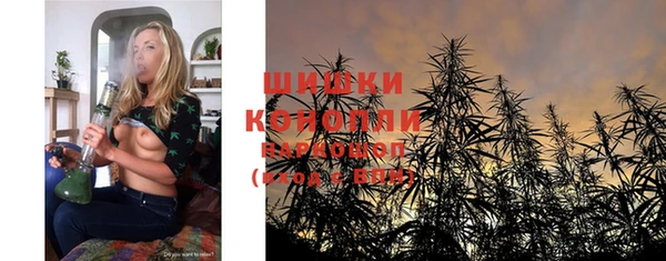 мет Инта