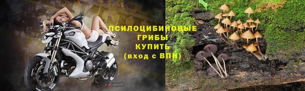 мет Инта