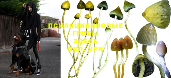 mdma Иннополис