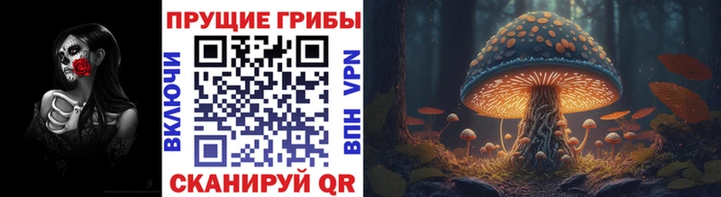 Купить  Цивильск  Галлюциногенные грибы GOLDEN TEACHER 