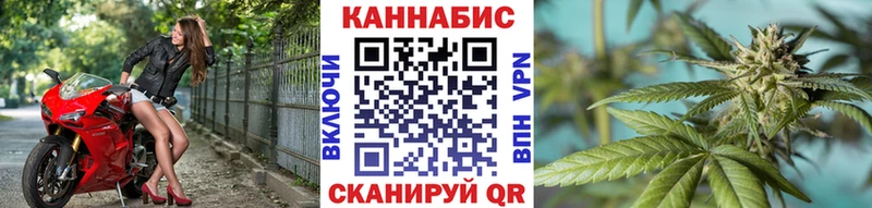 Купить где  Цивильск  Конопля MAZAR 